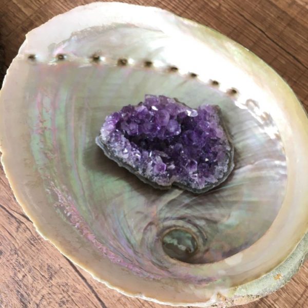 grande-abalone-nacre-blanche